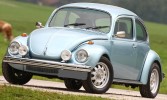 Käfer 1302